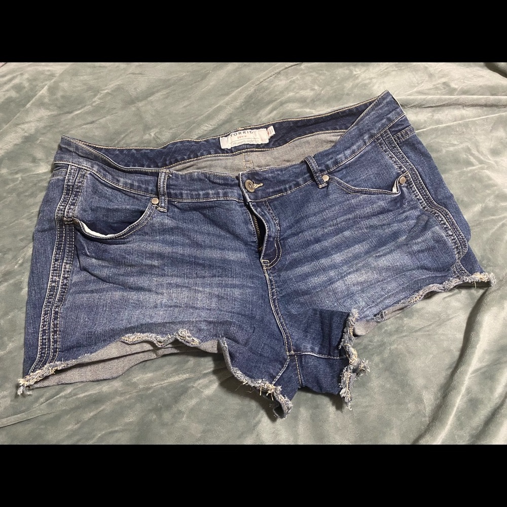 Torrid Shorts